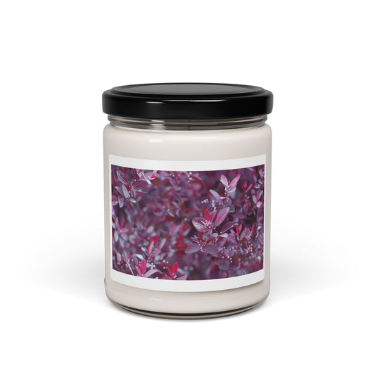 Scented Soy Candle, 9oz