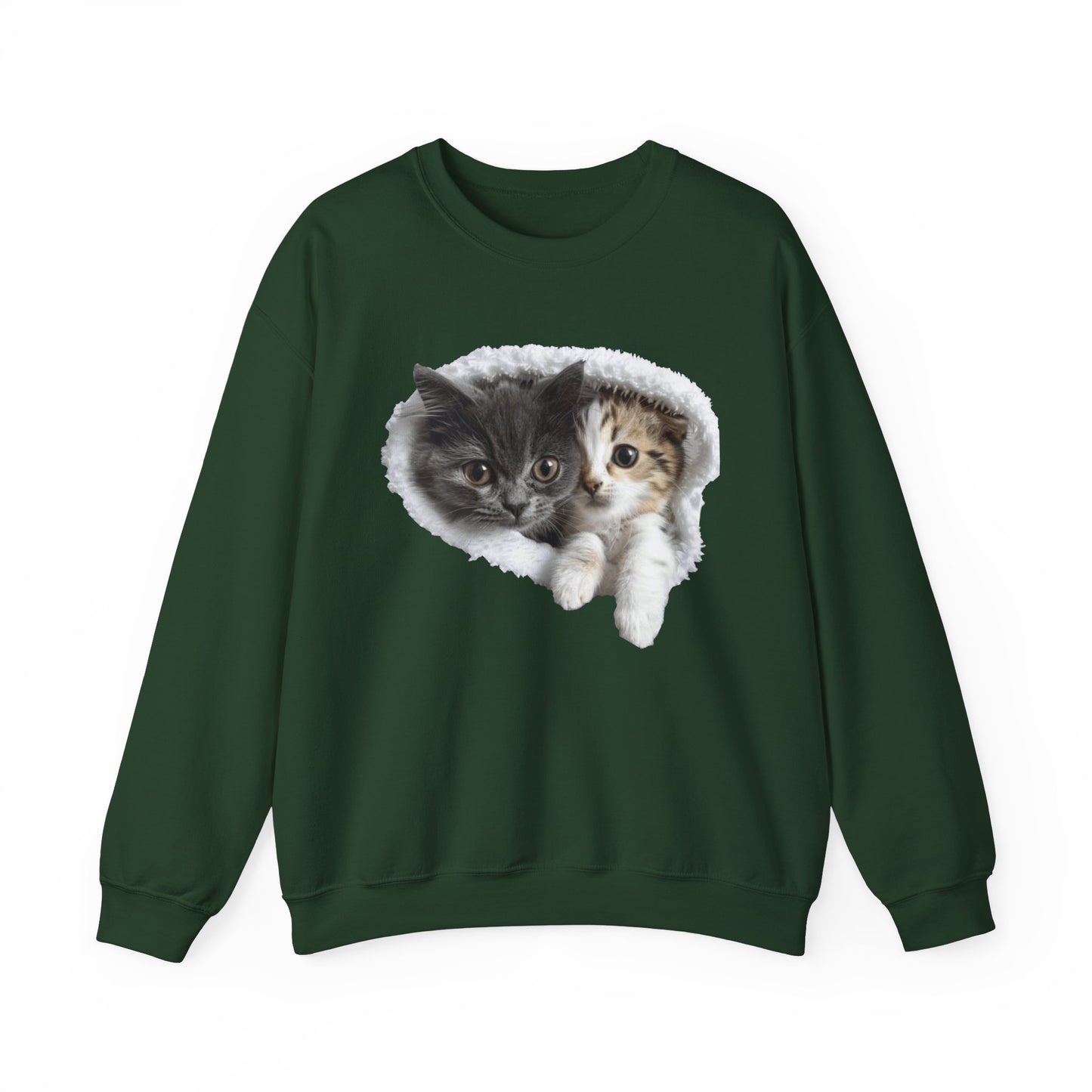 Graphic sweatshirt with cats