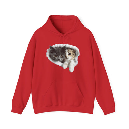 Unisex hoodie featuring cute cats