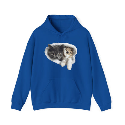 Charming cat lover hooded sweatshirt