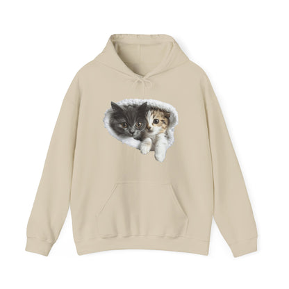 Sweatshirts for men and women who love cats